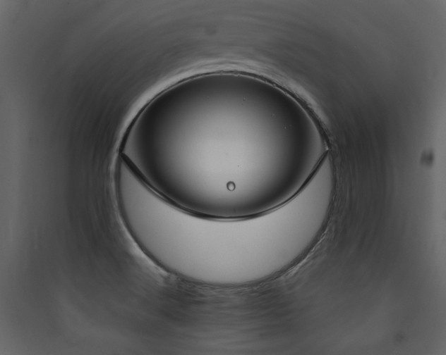 X0000090421516200707131158