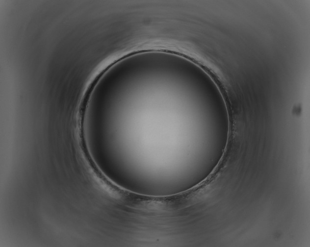 X0000090421517200707131158