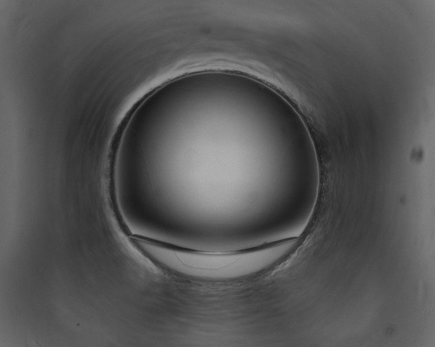 X0000090421518200707131158