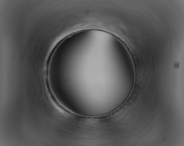 X0000090421519200707131158
