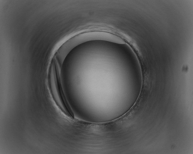 X0000090421520200707131158