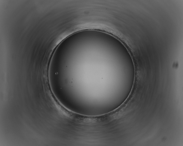 X0000090421521200707131158