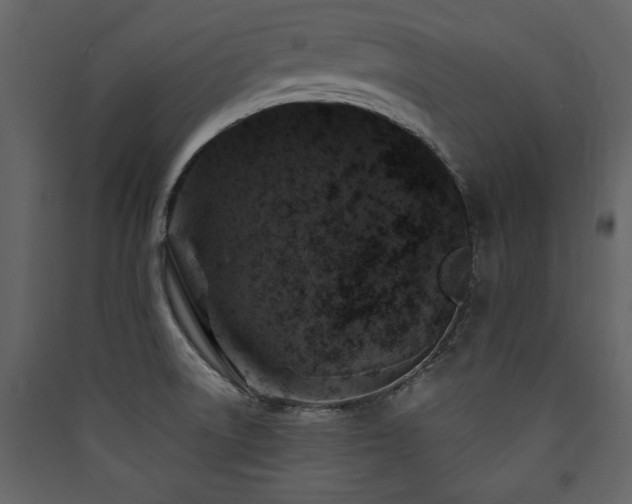 X0000090421522200707131158