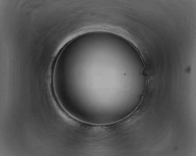 X0000090421523200707131158