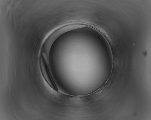 X0000090421524200707131158