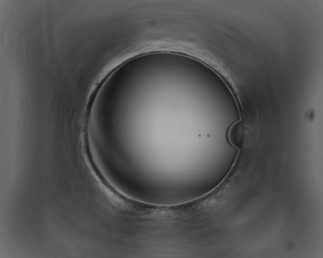 X0000090421525200707131158