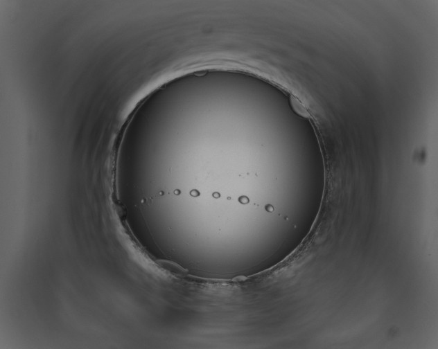X0000090421526200707131158