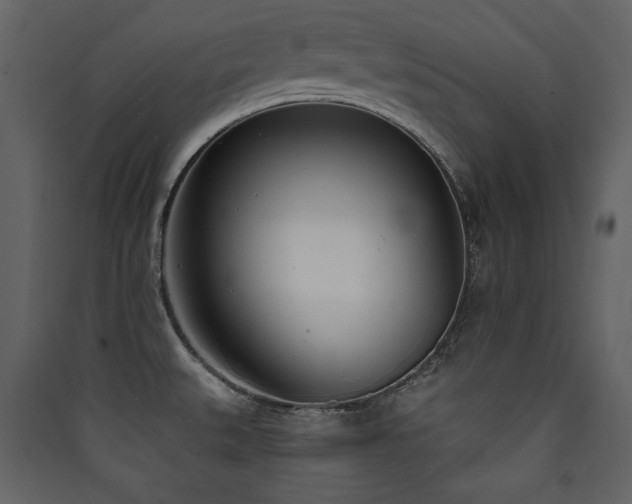 X0000090421527200707131158