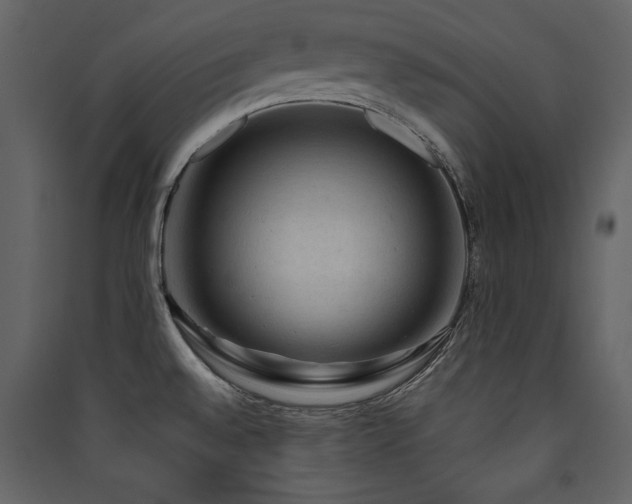 X0000090421528200707131158