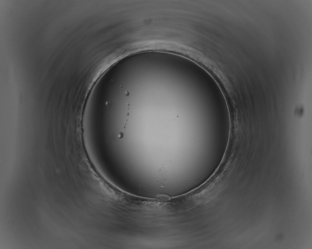 X0000090421529200707131158