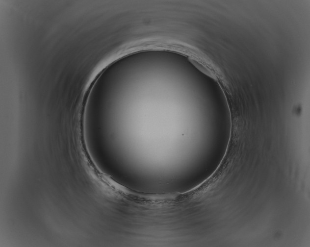 X0000090421530200707131158