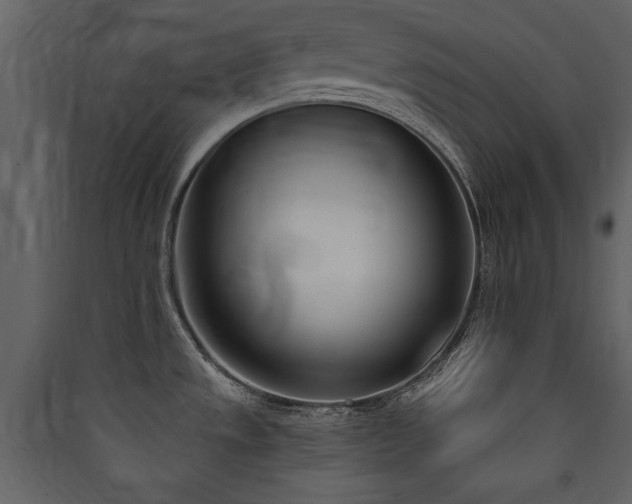 X0000090421533200707131158