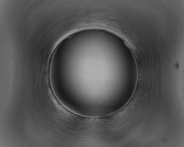 X0000090421534200707131158