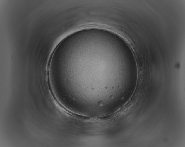 X0000090421535200707131158