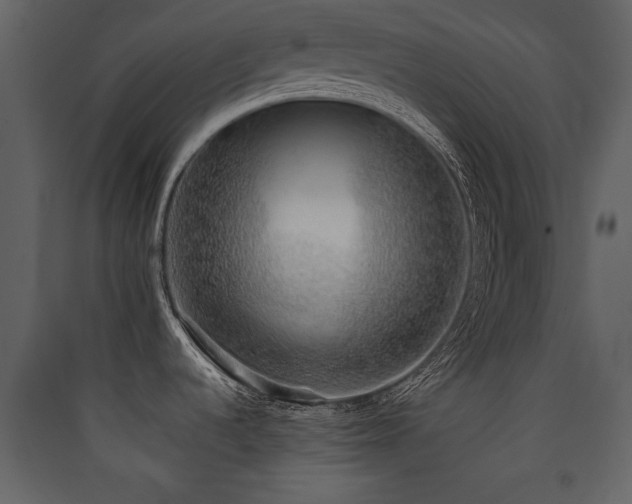 X0000090421536200707131158