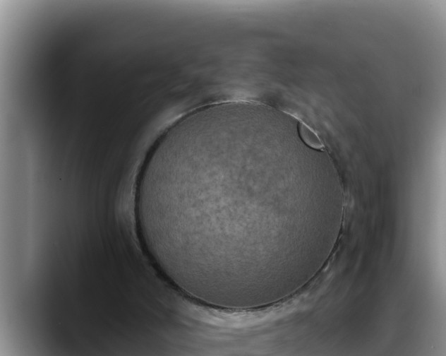 X0000090420006200707201126