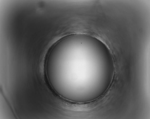 X0000090420008200707201126