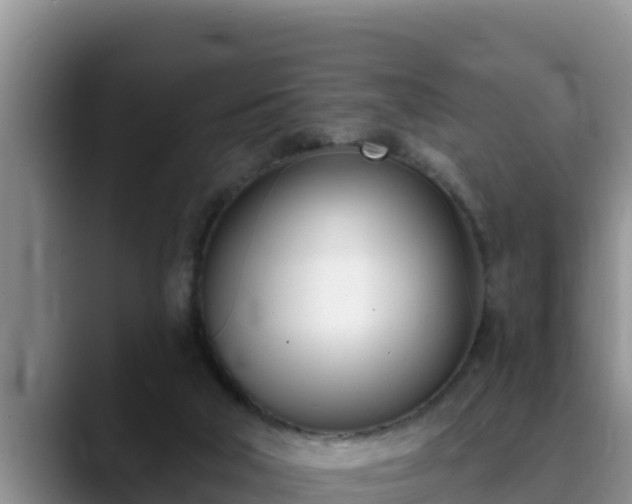 X0000090420018200707201126