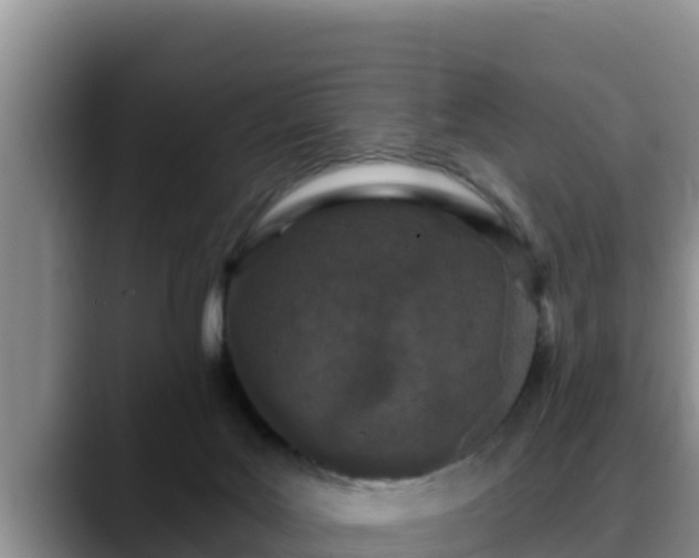 X0000090420027200707201126