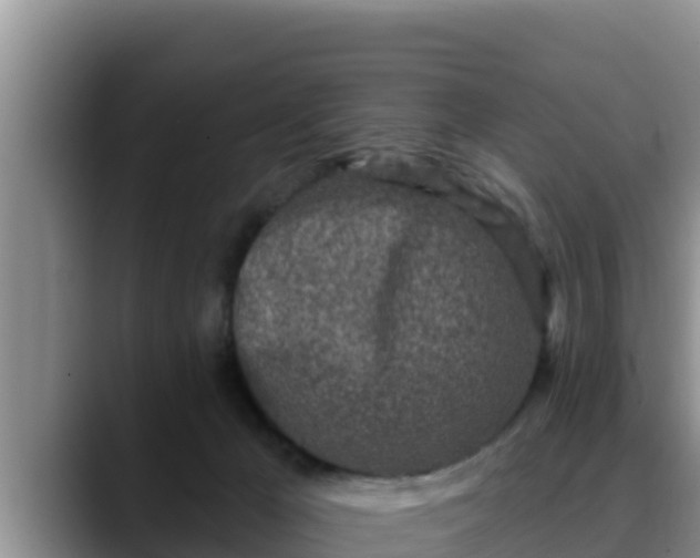 X0000090420029200707201126