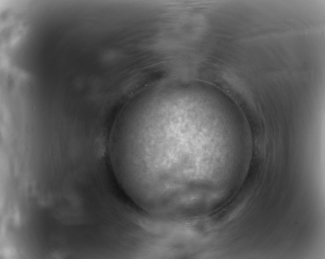 X0000090420032200707201126