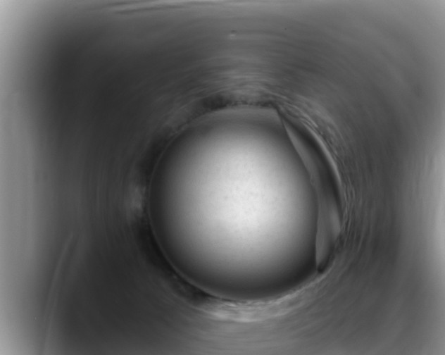 X0000090420033200707201126