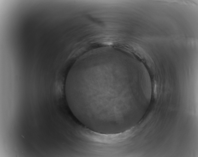 X0000090420035200707201126