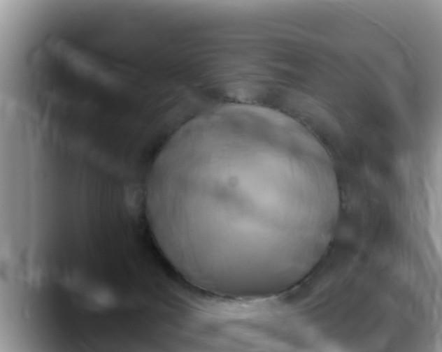 X0000090420036200707201126