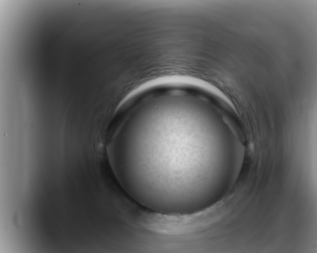 X0000090420037200707201126