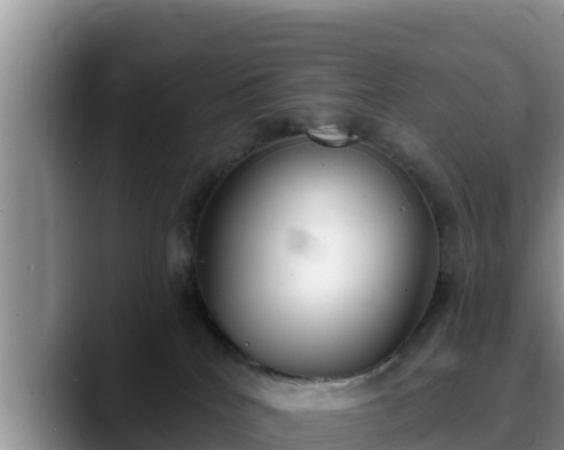 X0000090420040200707201126