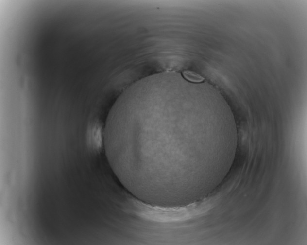 X0000090420042200707201126