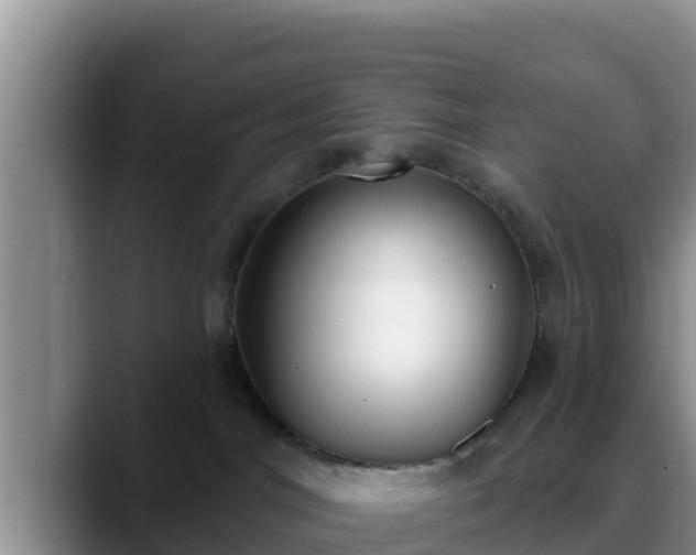 X0000090420044200707201126