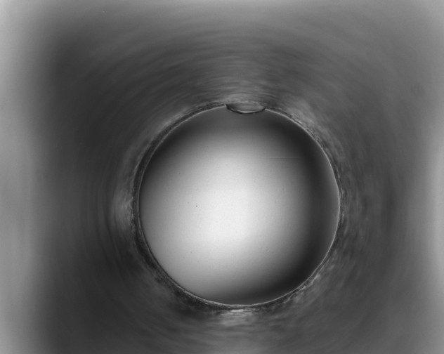 X0000090420050200707201125