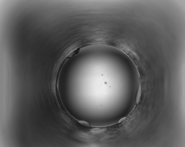 X0000090420051200707201125