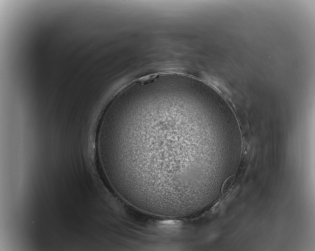 X0000090420053200707201125