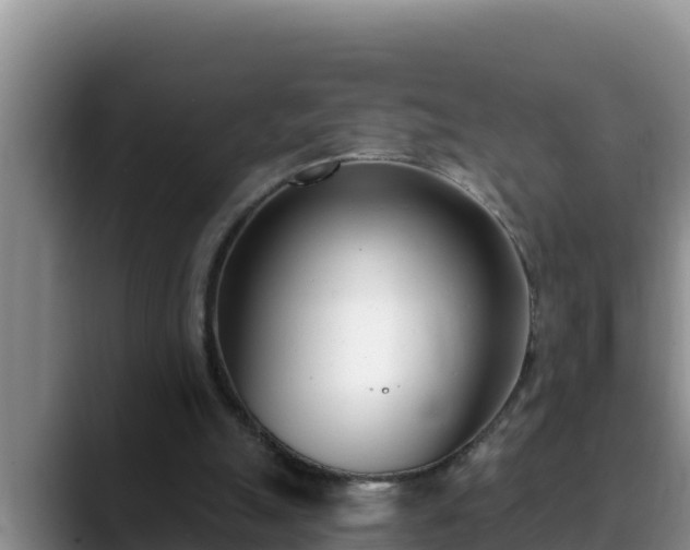 X0000090420055200707201125