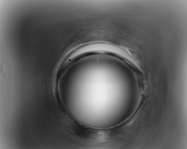 X0000090420056200707201125