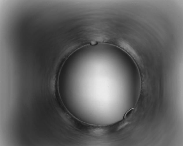 X0000090420058200707201125