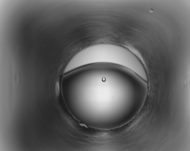 X0000090420061200707201125