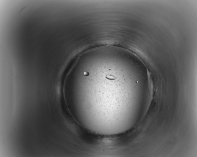 X0000090420064200707201125