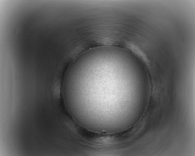 X0000090420065200707201125