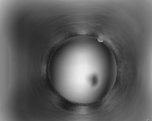 X0000090420066200707201125