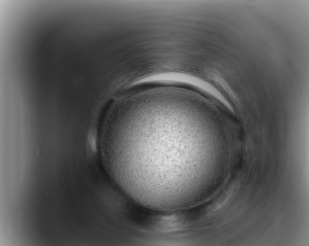 X0000090420068200707201126