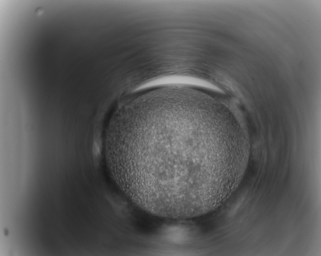 X0000090420072200707201126