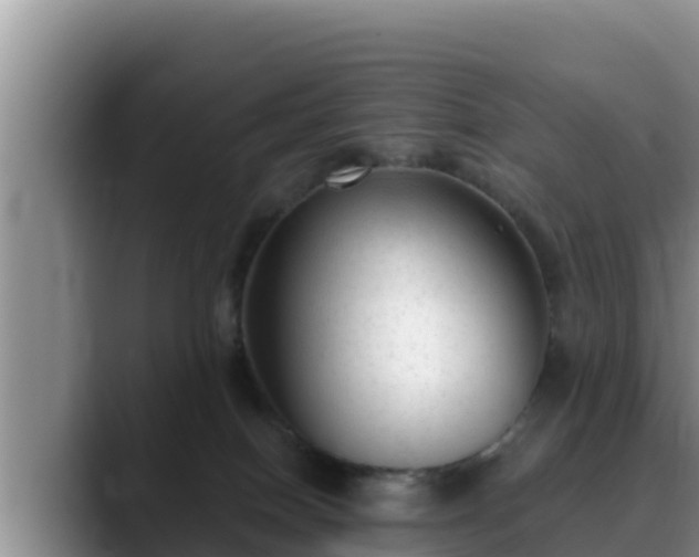 X0000090420086200707201126