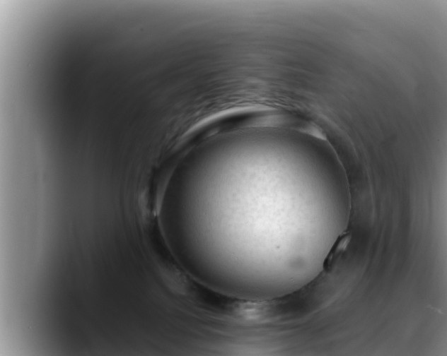 X0000090420088200707201126