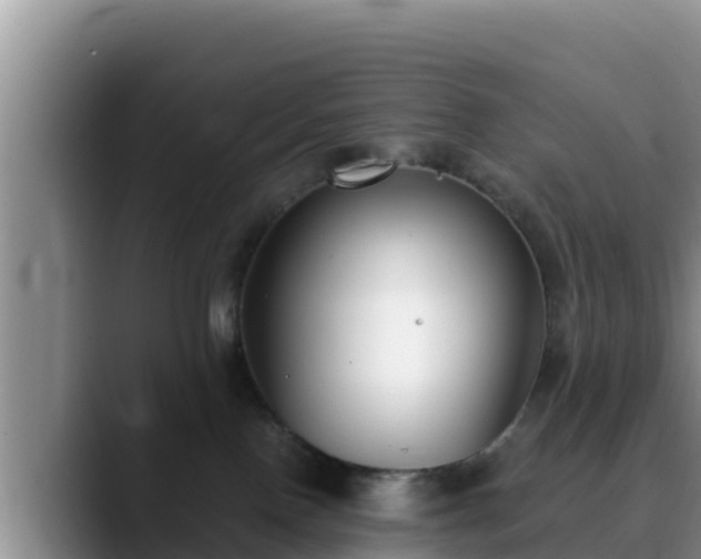 X0000090420090200707201126