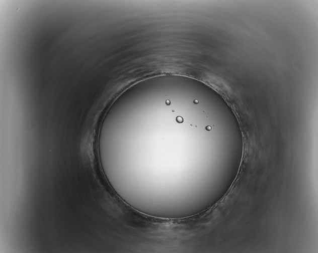 X0000090420098200707201125