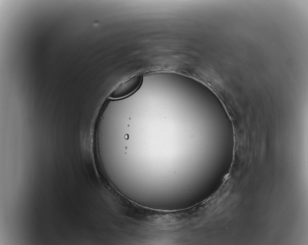 X0000090420100200707201125