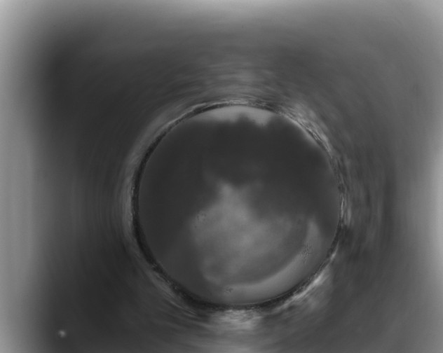 X0000090420101200707201125